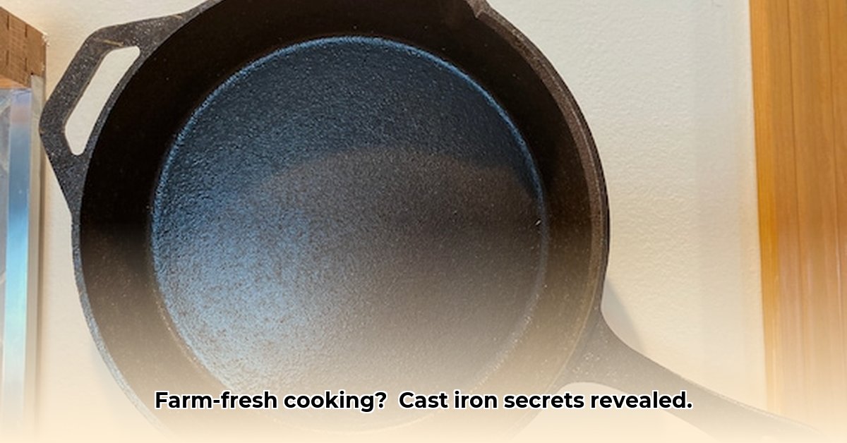 tractor-supply-cast-iron-cookware